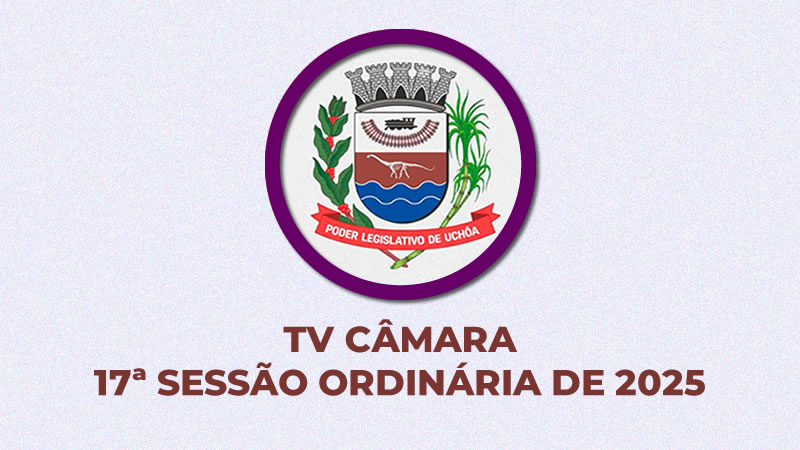 17ª Sessão Ordinária de 2025